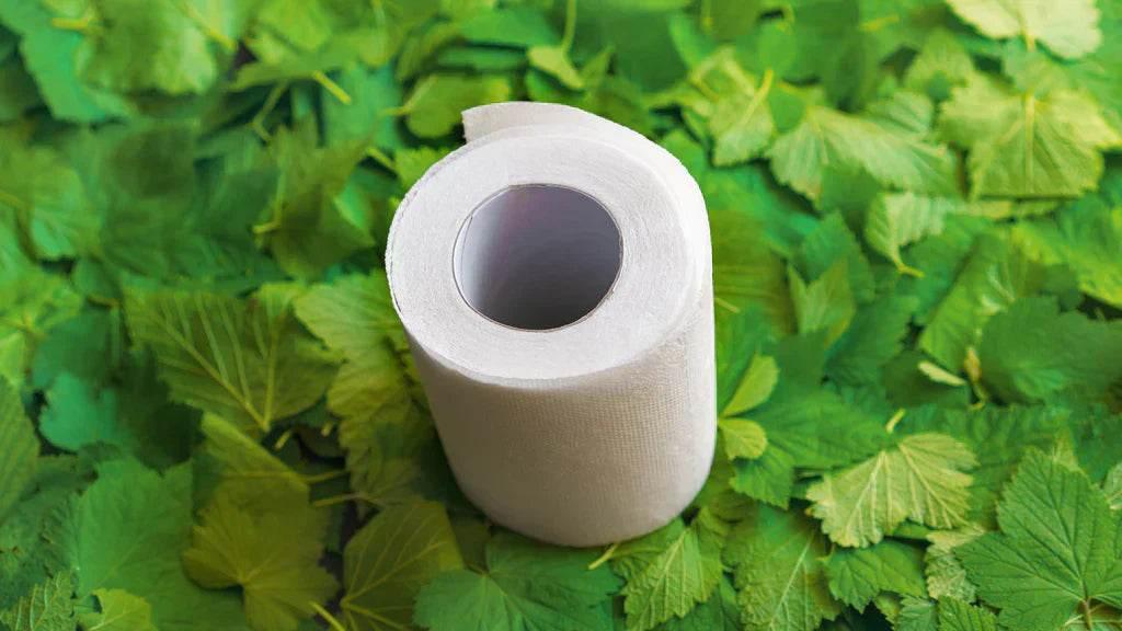 Wipe Out: Is Your Poop Killing Our Forests? - Future Salad