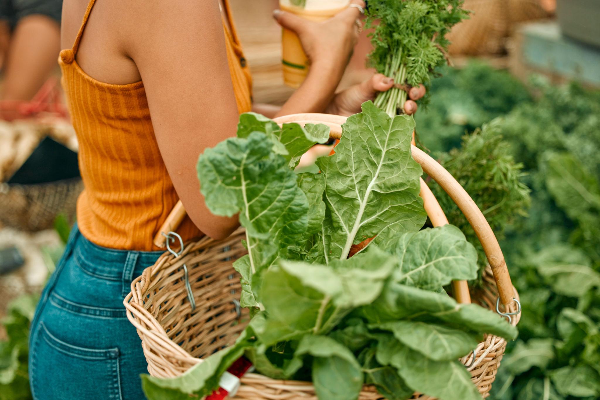 Nature's Broom: The Fiber Secret Your Gut Has Been Waiting For