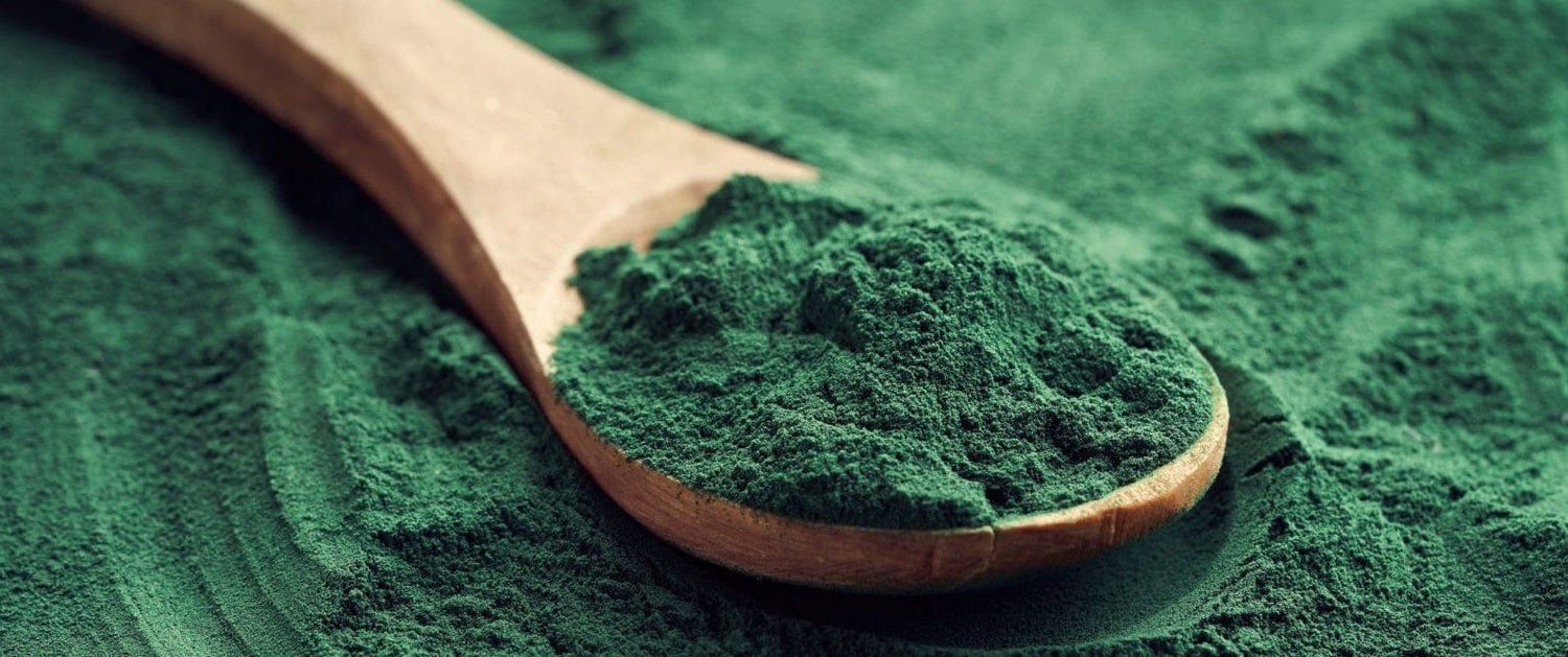 Spirulina: NASA Uses It for Astronauts — Here’s Why You Should Too