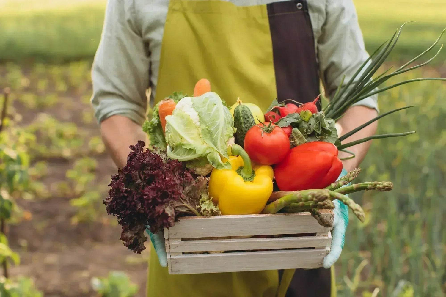 The Rise of Carbon-Neutral Foods: Eating Your Way to a Greener Planet - Future Salad